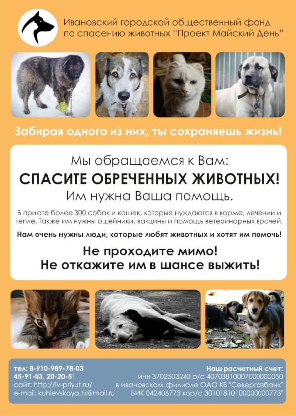 памятник верность иваново. памятник бездомным животным иваново. памятник бездомным животным иваново. майский день приют для животных. бездомные животные иваново.