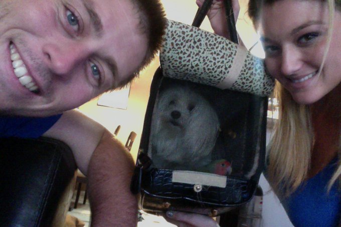 Shopping &amp; Bird Store for Schweezy to get Pampered. But first, one of us has to change. lol #LoveBird<a href="/tag/cute"class="tags"><span>#cute</span></a><a href="/tag/lovebird"class="tags"><span>#lovebird</span></a>