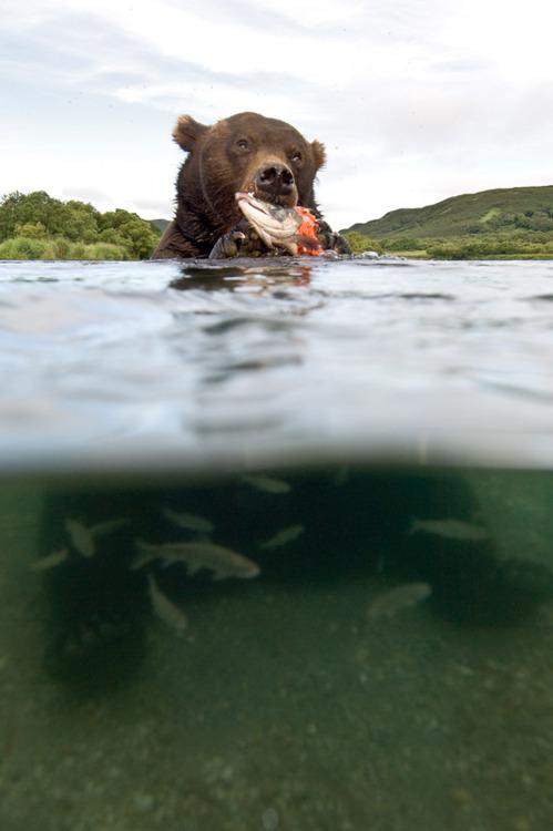 DatPics's tweet image. perfect picture!