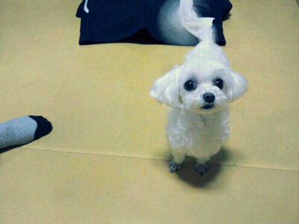 Mondayy0305's tweet photo. 시간이 흐르면서 해결될 거라는 안일한 생각은 금물! http://t.co/YaI3xeST