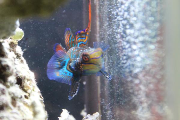 Republican_Jew's tweet image. 