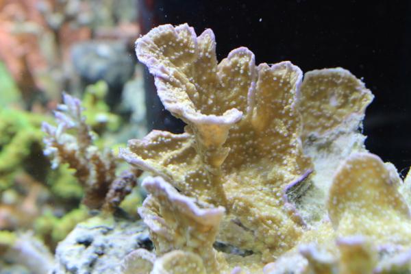 Republican_Jew's tweet image. 