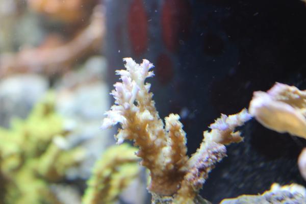 Republican_Jew's tweet image. 