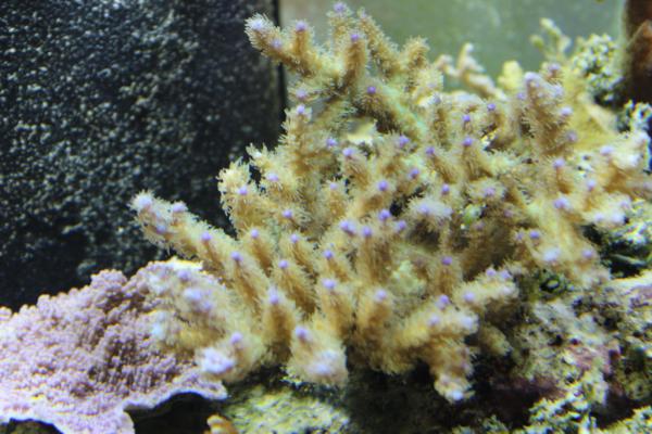 Republican_Jew's tweet image. 