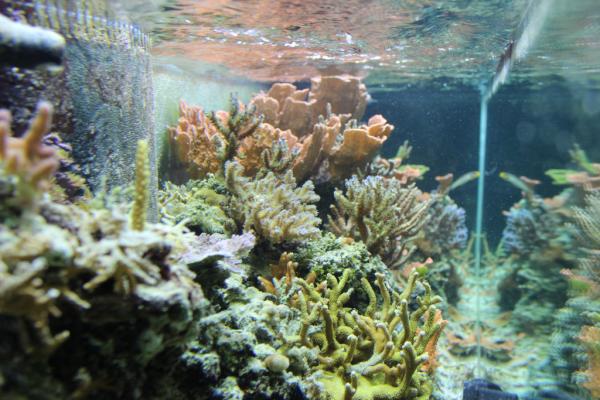 Republican_Jew's tweet image. 