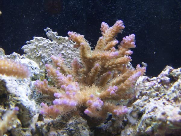 Republican_Jew's tweet image. 