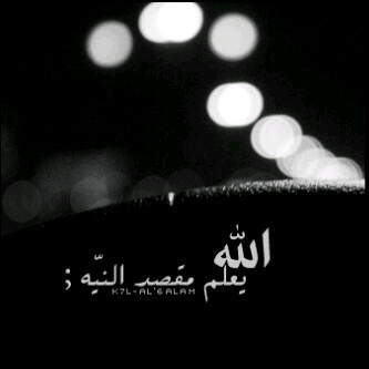 fjjgunma's tweet photo. @fjjgunma http://t.co/bJLzikDI