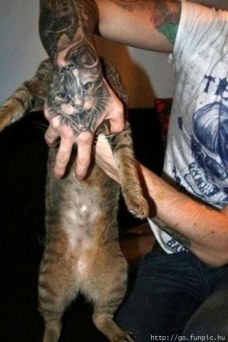 iDutchGoon's tweet photo. #RTalsjehetziet http://t.co/lvCVgl5c"