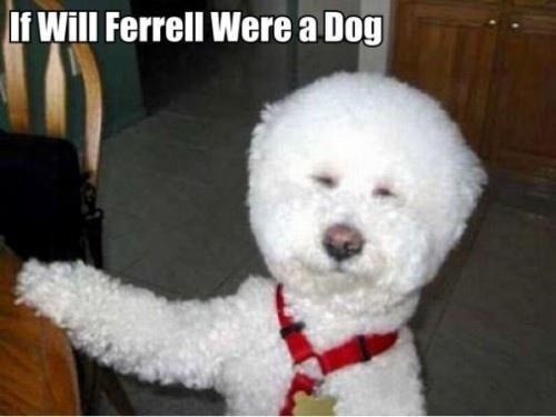 GraceMulvey's tweet photo. @RatedC_Ledge http://t.co/Av044ph8