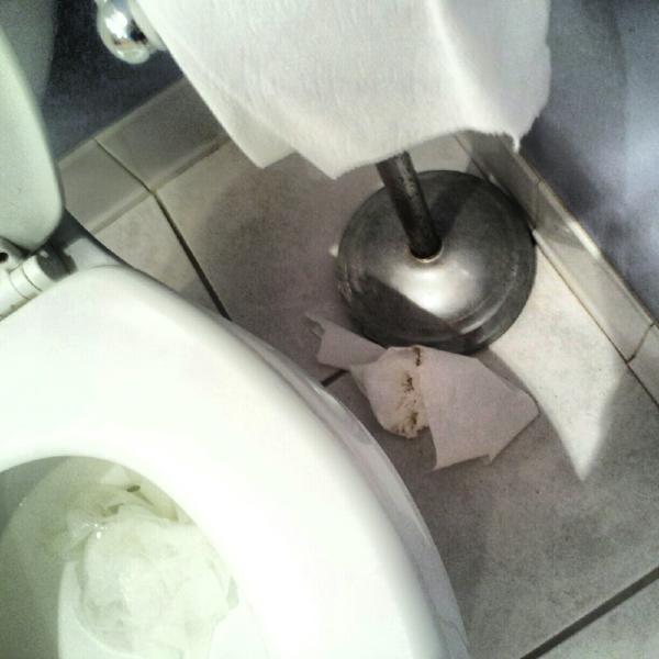 LoSoos's tweet image. Spotted: Poop filled toilet paper. But the toilet's so close you say? Too easy! #help #nannyproblems #poopingproblems