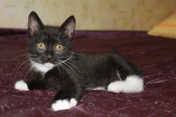 pers_help's tweet image. 