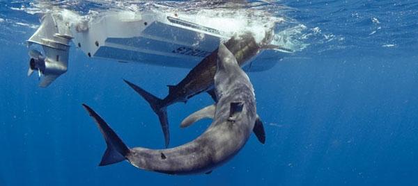 DatPics's tweet image. Take Down!