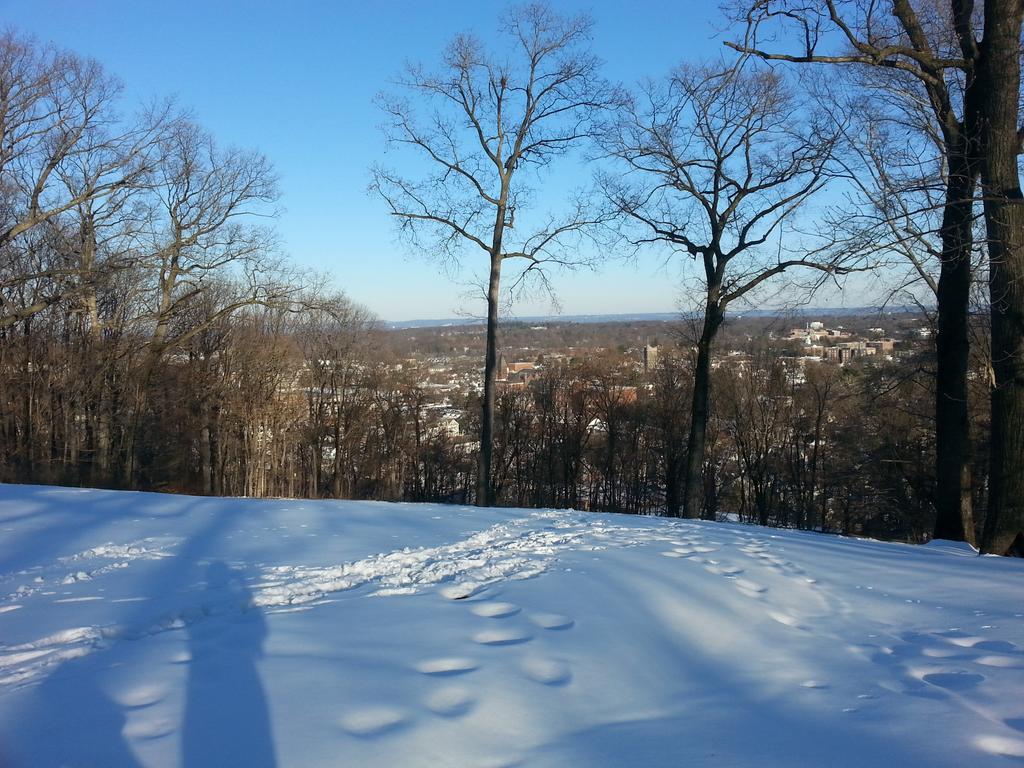 BJL_Coaching's tweet photo. Awesome ride today! Long shadows up at Fort Nonsense. @cyclecraftnj @SealSkinzUS http://t.co/H6hGJp5eC4