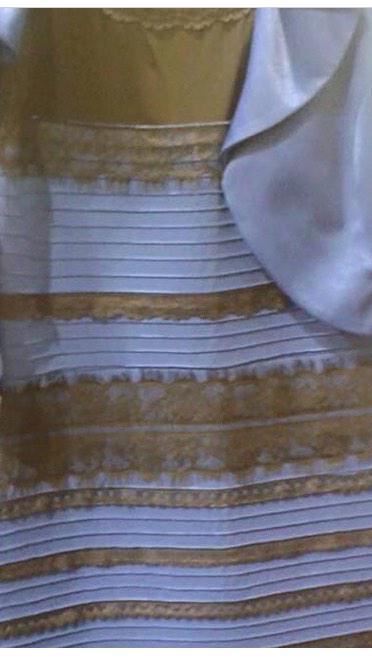 zombiepig83's tweet photo. What do u see http://t.co/l8YFDZN53k