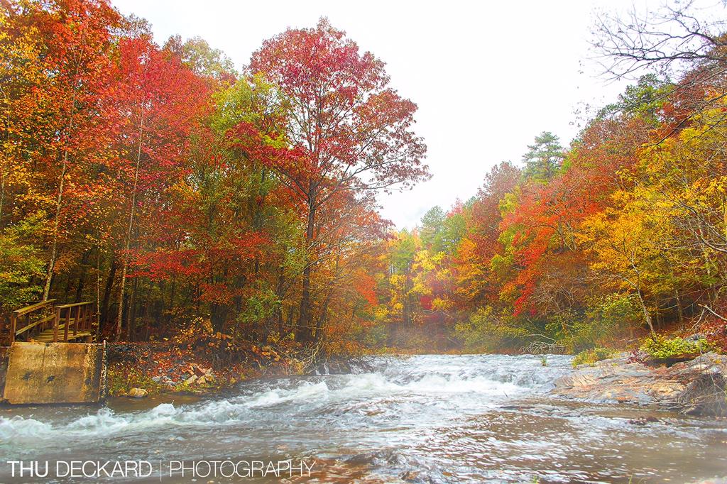 Miss the colorful season #TB #fallcolor #photography #BrokenBow #Oklahoma