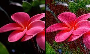 In honour of #RareDiseaseDay here's a picture of what mine looks like. I have Visual Snow Syndrome, a neuro disease