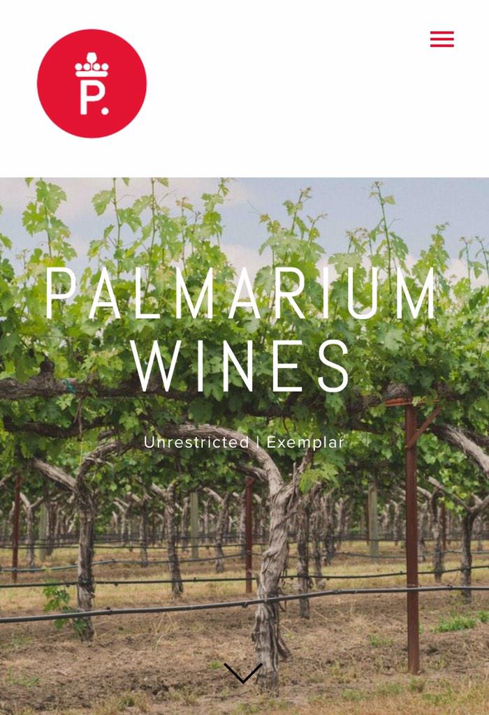 5_tweets's tweet photo. The second vintage of Palmarium's site is currently undergoing fermentation #launchingsoon http://t.co/D9x1BXmK3h