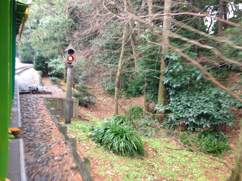 あんそにー ウエスタンリバー鉄道全信号機その2 車庫線への引き上げ地点 場内信号機や入換信号機に相当するものはなく 車庫線から本線出発及び本線逆出発的な感じでそれぞれ一基あるのみ Http T Co Aexobmnlno