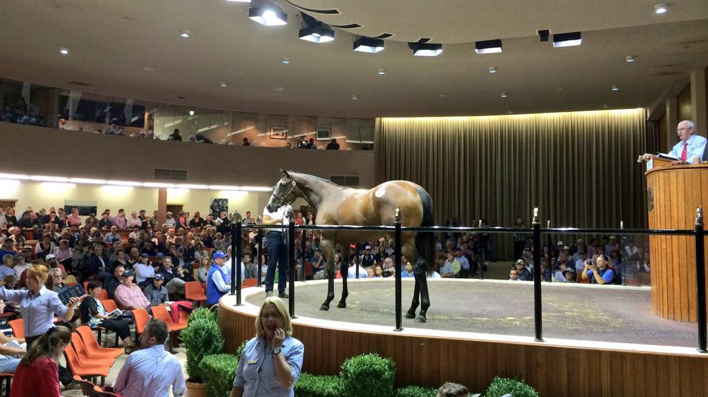 Just keep thinking <a href="/blackcaviar2006/">Black Caviar</a>. Her #InglisPremier vendor <a href="/SwettenhamStud/">Swettenham Stud</a> sells a Bel Esprit filly for $260,000