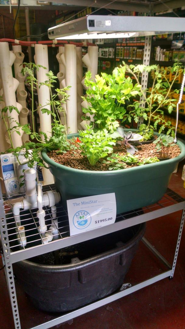 aquaponics farm - mediamatic