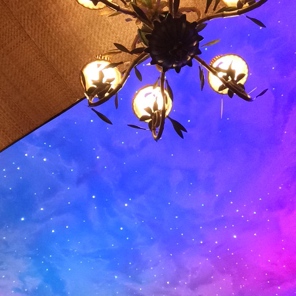 SchindlerPhoto's tweet photo. Having a great time photographing the ceiling #ThaiBambooSpokane #INRESTWEEK http://t.co/RCLachyOCV