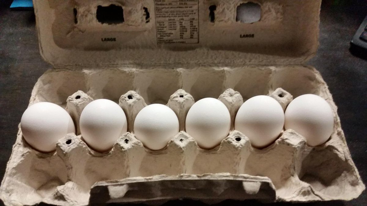 RootWixom's tweet photo. Congrats to CC JVW Hky Team! GWgoal by @smi22y Way to drive the net big boy! Bet you had a good breaky! #6eggs http://t.co/aRfVJWtkMN
