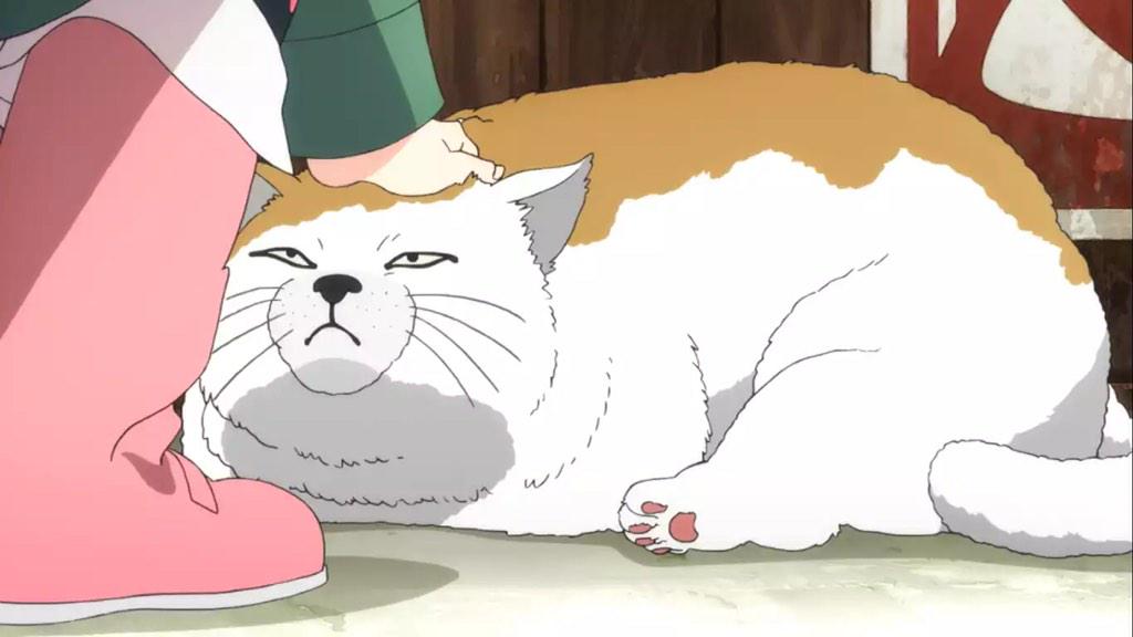 Anime Fat Cat GIFs  Tenor