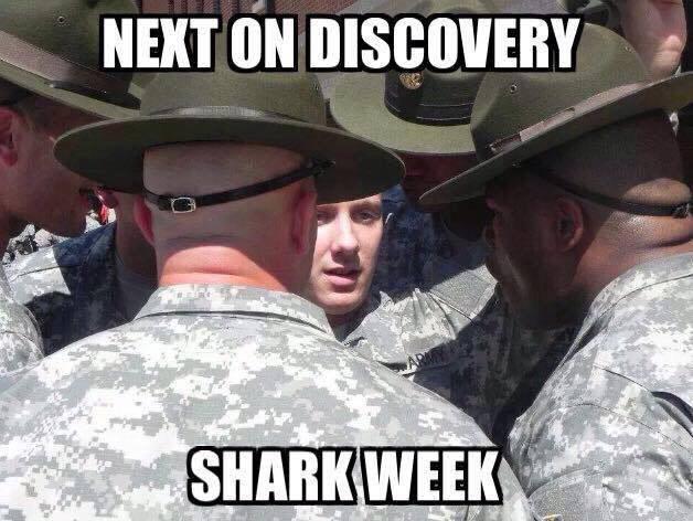 BasicMilitary's tweet image. When you piss off your superiors #BasicMilitaryProblems #army #SharkWeek #BootCamp