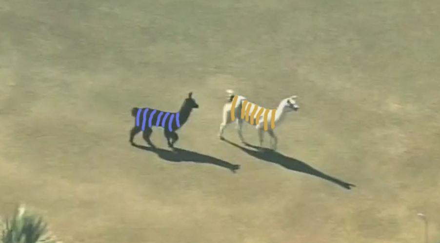 What colors are these Llamas? B-0C2uLUIAE8QeZ