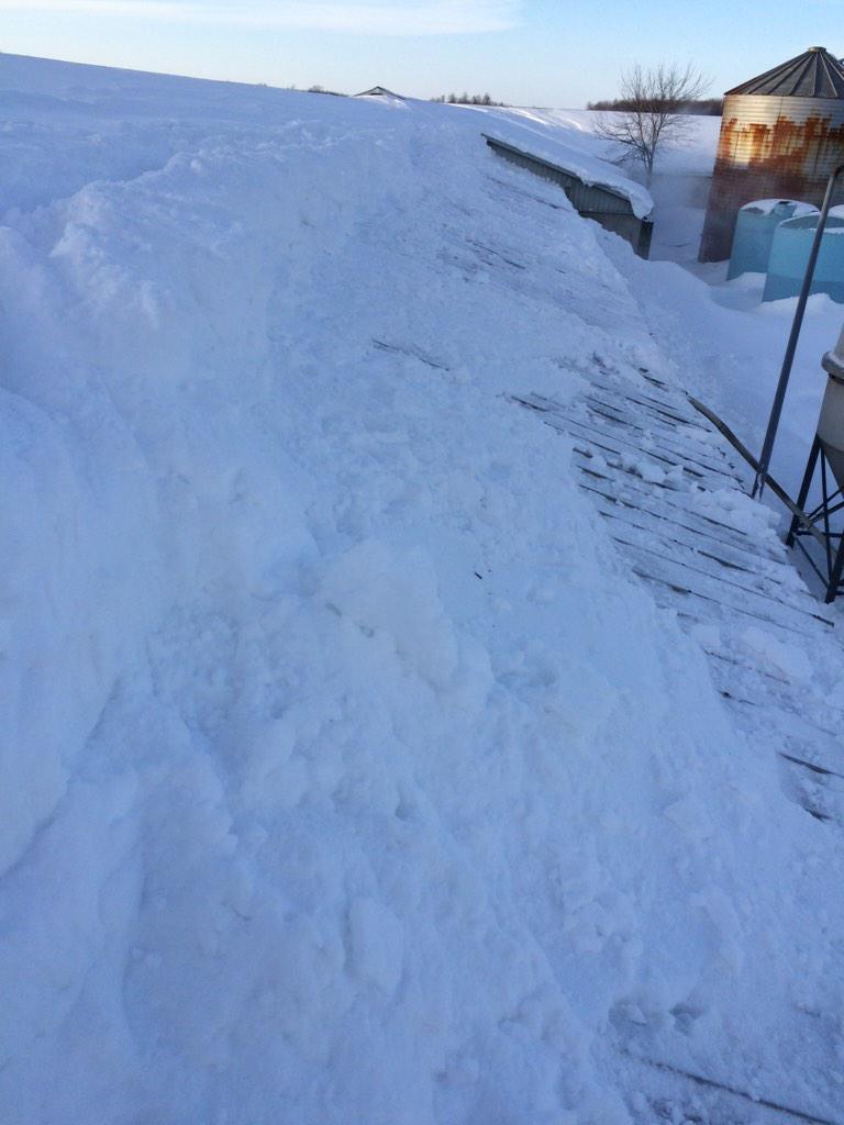 bennelson221's tweet photo. @FarmKidLife #CanadianProblems http://t.co/HTx0JursCo