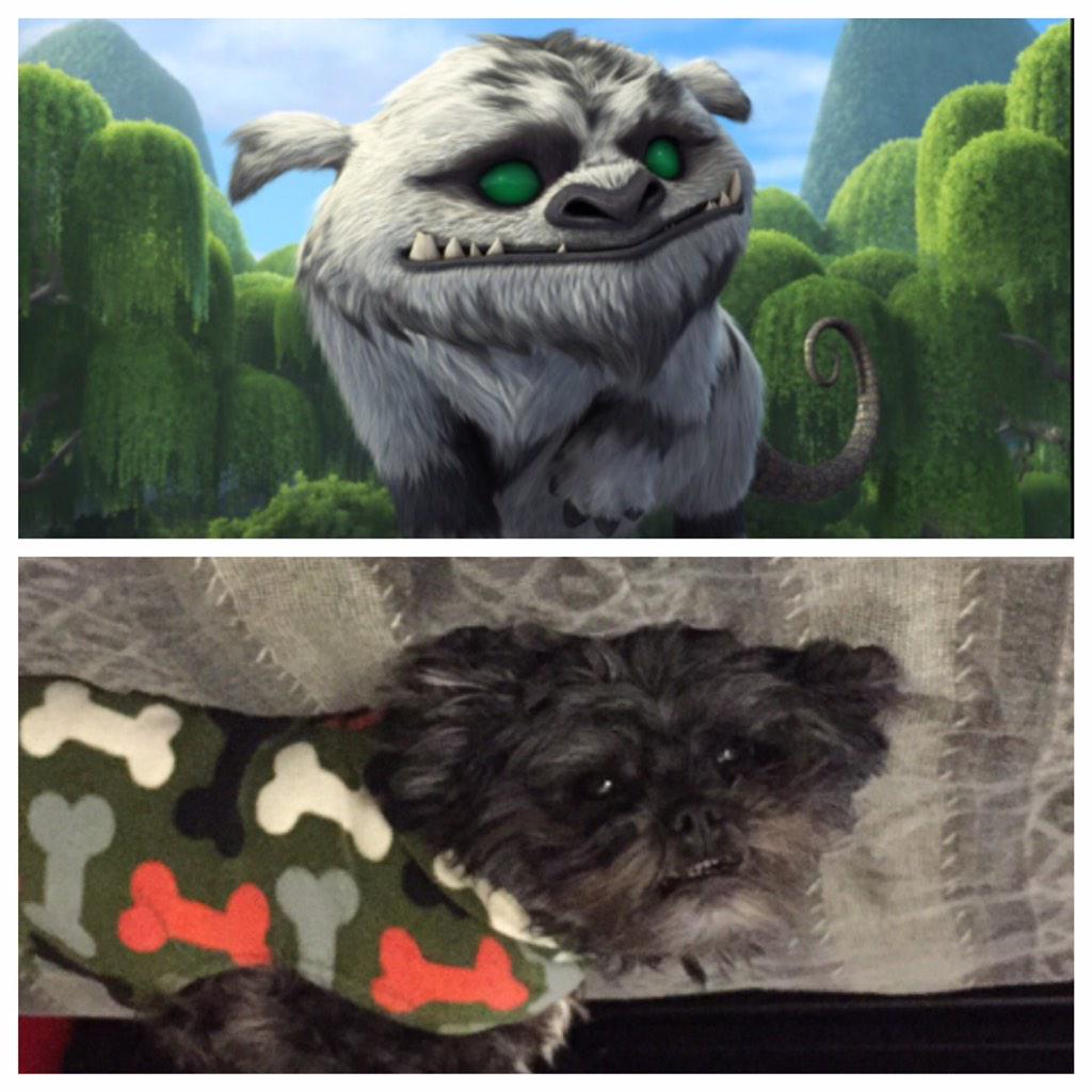 JSpenillo's tweet image. Shout out to @Disney and @DisneyAnimation for making a perfect cartoon replica of my dog Sunny!  #mylittleneverbeast