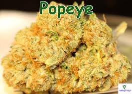 Pot_Daily tweet picture