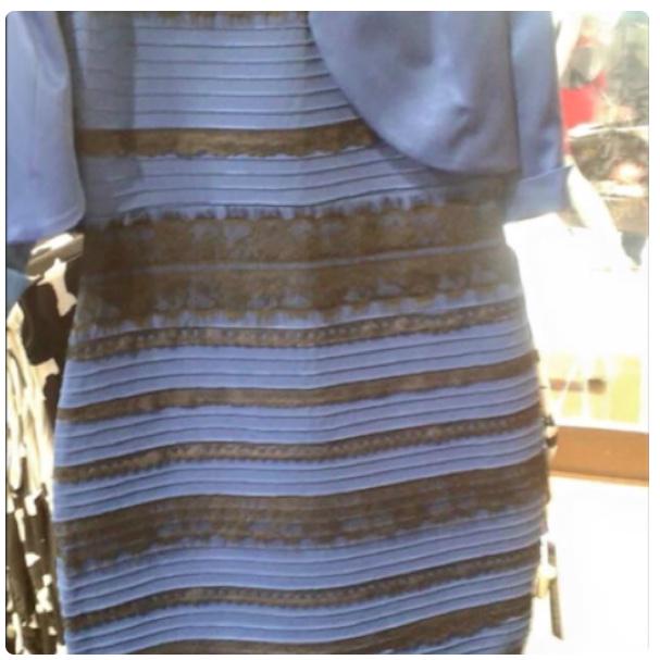 StockShowMemes's tweet photo. When people call red calves brown and blue roans black and white I'm like ... http://t.co/iakAOkafmf