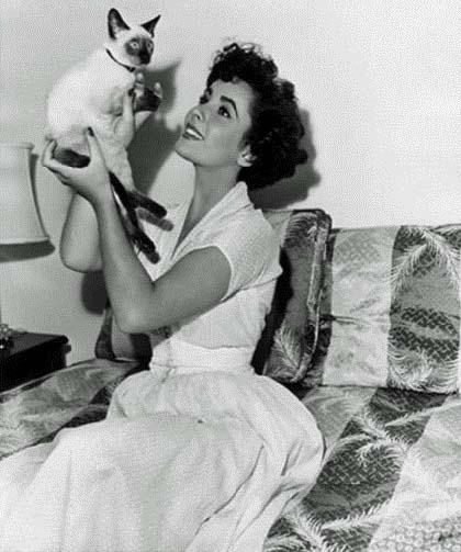 February 27. Happy Birthday to Elizabeth Taylor!   