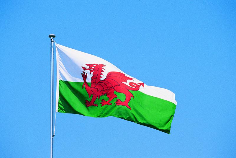 Welsh. Флаг Wales. The Flag of Saint David. The uk Sporting events Irish Welsh Flags Rugby. 32nd "Duke of Cornwall's own" Flag.