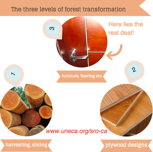 ECA_OFFICIAL's tweet photo. The three levels of forest transformation you should know ahead of  experts' review in Central Africa #ForestFactory http://t.co/GChCpkJw7X
