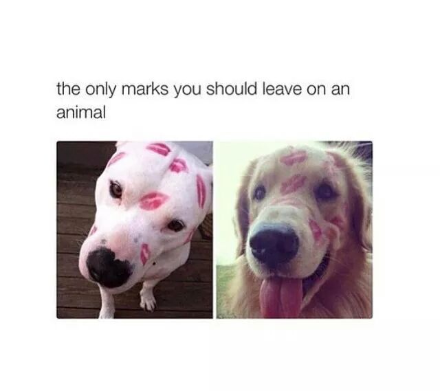 FemaleBlogger22's tweet image. 