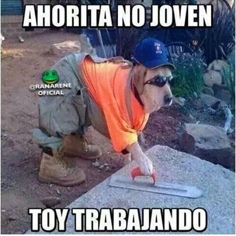 cano_priscila's tweet photo. Jajajaja http://t.co/9QWEyma9RL