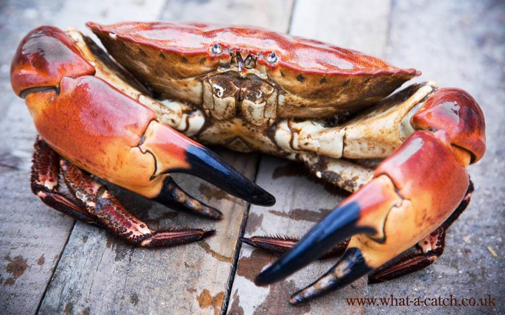 @HoldernessFIG  .. It's our last day promoting Holderness Coast shellfish .. Onto pastures new ..Bye bye , take care