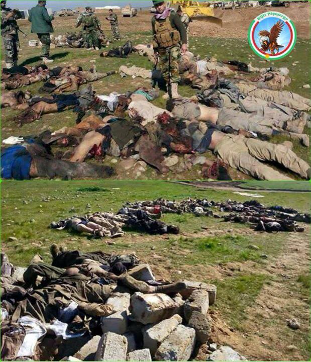 هل من مزيد يا دواعش الكلاب