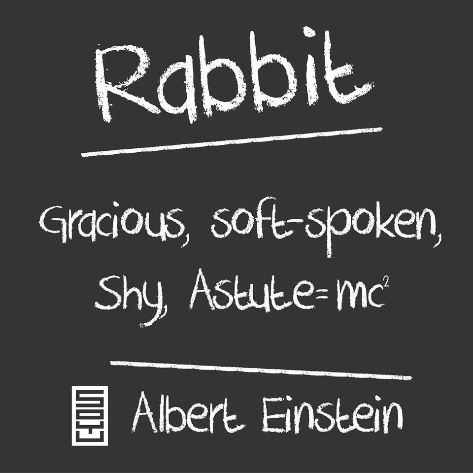 soyuHQ's tweet photo. EINSTEIN WAS A GRACIOUS RABBIT! #CharacterType #chinesezodiac http://t.co/71jkb53Rpw