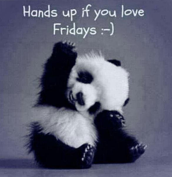 Our hands are well and truly in the air right now! #FridayFeeling