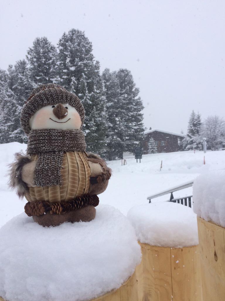 Live from #Mürren #Schilthorn heavy snow falls!