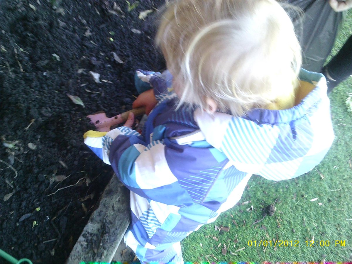 BotanicLodgeNursery tweet media