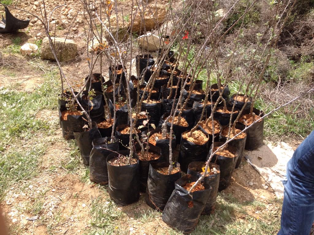 KevinC_Brown's tweet image. We planted over 100 trees today because #WeRefuseToBeEnemies
@TentOfNations