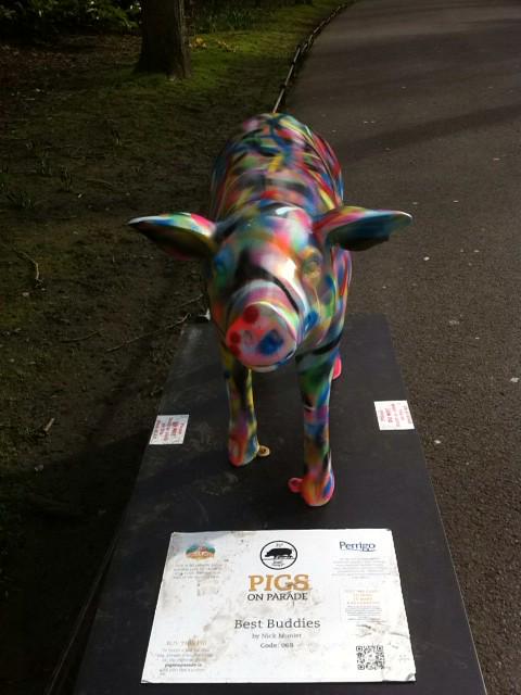 YMorselli's tweet photo. @NickMunier @JackandJill1997 #pigPorn #code69 #donate4euro #greatCause #StephensGreenDublin #pigsOnParade http://t.co/lBuEQPu50u