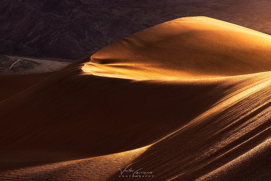 Visual_Feed_img's tweet photo. ✨Creativity Light ✨

Dunery …

By: Victor Carreiro
#طبيعة #غرد_بصورة #light #photo #landscabe #nature http://t.co/7yMS3BnPFV