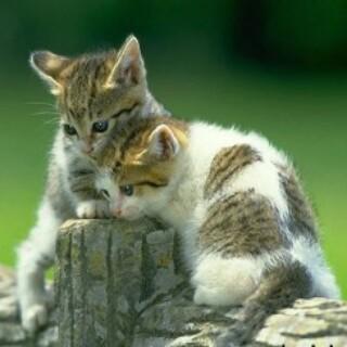 Anggie_F08's tweet photo. http://t.co/SvvDVGU6WH