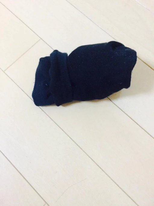 手袋だと思って持って出たものが、まさかの靴下で。まいっちゃって帰ってきました。 