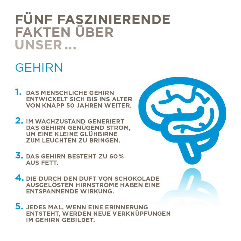 hirslanden's tweet photo. "5 faszinierende Fakten über..." unser #Gehirn. Wussten Sie, dass das #Hirn zu 60% aus fett besteht? #neurologie http://t.co/3UbnMjs6fZ